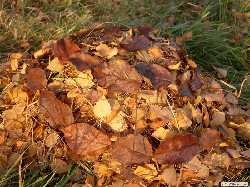 5 Landart